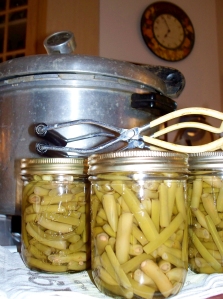 My grandmother's old pressure canner, my green beans